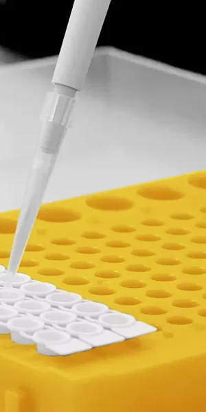 intercomparativos_banner